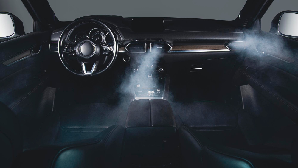 Smoke & Odor Removal